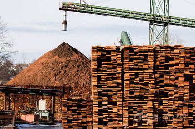 工厂建设与木材生产 产业现代化的关键环节