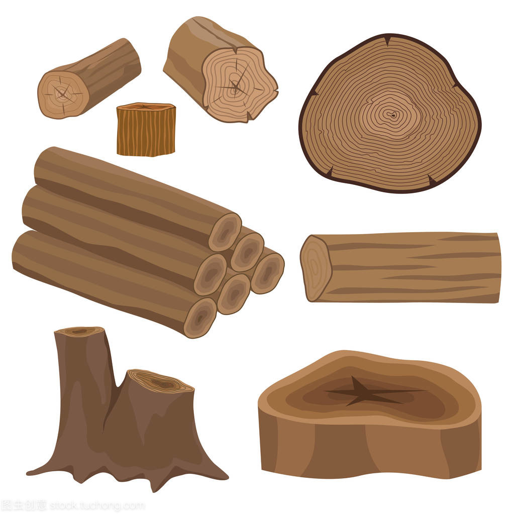木材 从树桩到建筑材料的艺术与工艺