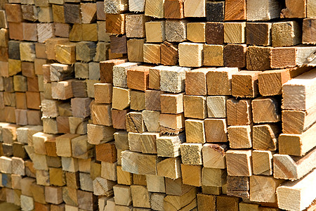 木材 从森林到生活的绿色使者