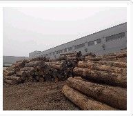 供应无锡木材销售行业专家【富万建筑】值得信赖 百姓口碑_交通运输_世界工厂网中国产品信息库